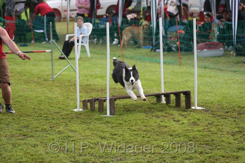 jubil.lusten3 100.jpg